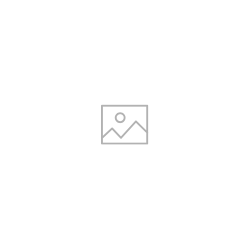 Organization Photo